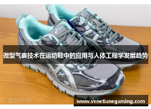 微型气囊技术在运动鞋中的应用与人体工程学发展趋势
